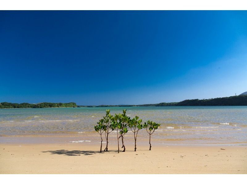 【石垣島/半日】地元ガイドと行く！石垣島の絶景＆隠れスポット観光フォトツアー★送迎/写真データ無料！当日予約も大歓迎！の紹介画像