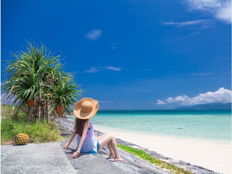 【西表島/半天】西表島短途旅行！熱門景點導覽攝影觀光【照片檔案/免費交通】の紹介画像