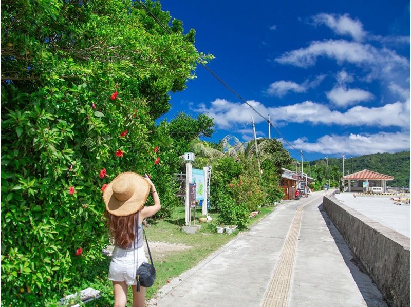 【西表島/半天】西表島短途旅行！熱門景點導覽攝影觀光【照片檔案/免費交通】の紹介画像