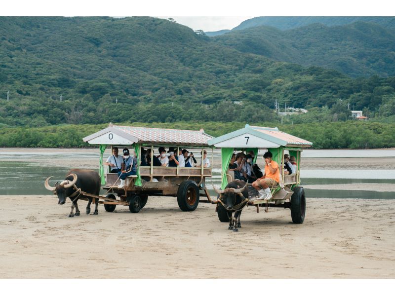 【西表島/1日】西表島の秘境＆絶景スポットを巡る！ガイド付きフォト観光ツアー【写真データ/送迎無料】の紹介画像