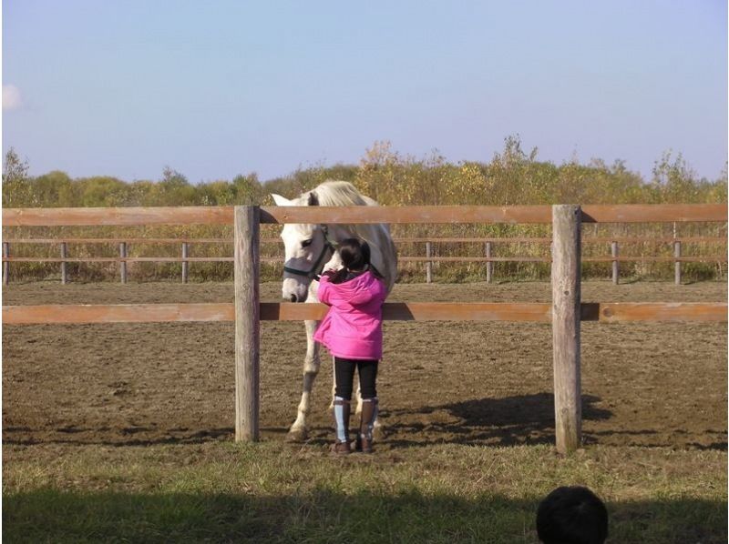 【 北海道 ·南波罗】 骑马徒步の紹介画像