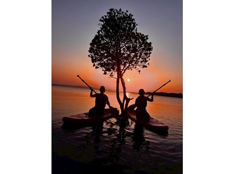 Featured in ANA magazine (Highly popular ★ Family discount available) First in Ishigaki! Sunset SUP with a spectacular view of the mangrove sunset [Ages 2-85] Available on the day! Free transfers and photos ★ Showers availableの紹介画像