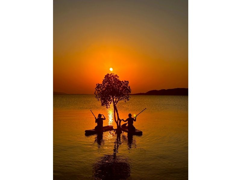Featured in ANA magazine (Highly popular ★ Family discount available) First in Ishigaki! Sunset SUP with a spectacular view of the mangrove sunset [Ages 2-85] Available on the day! Free transfers and photos ★ Showers availableの紹介画像