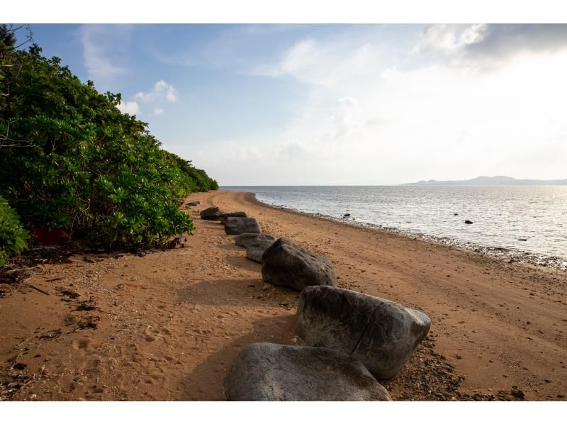 [Okinawa Yaeyama area] Early morning tour! Cross the shallows to Yubu Island - Enjoy breakfast while watching the sunrise. On the way back, see us off in a water buffalo cart!の紹介画像