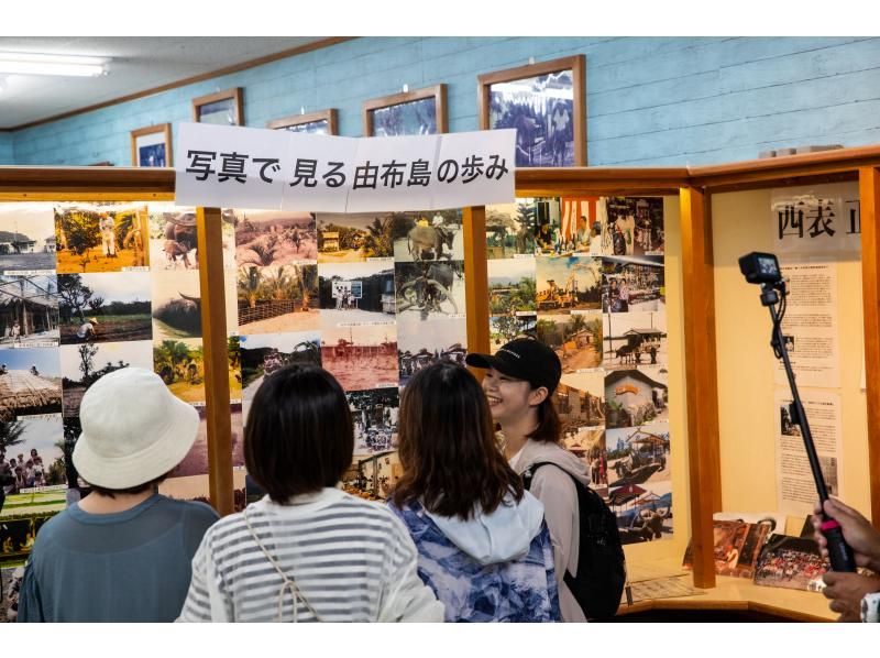 [Okinawa Yaeyama area] Early morning tour! Cross the shallows to Yubu Island - Enjoy breakfast while watching the sunrise. On the way back, see us off in a water buffalo cart!の紹介画像