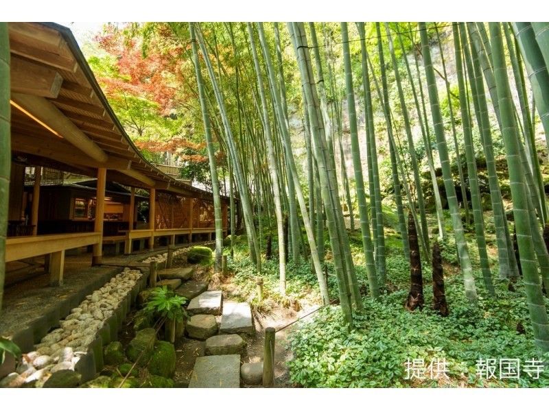 Zen Retreat in Kamakura: Zen Meditation, Bamboo Temple, and Lunchの紹介画像