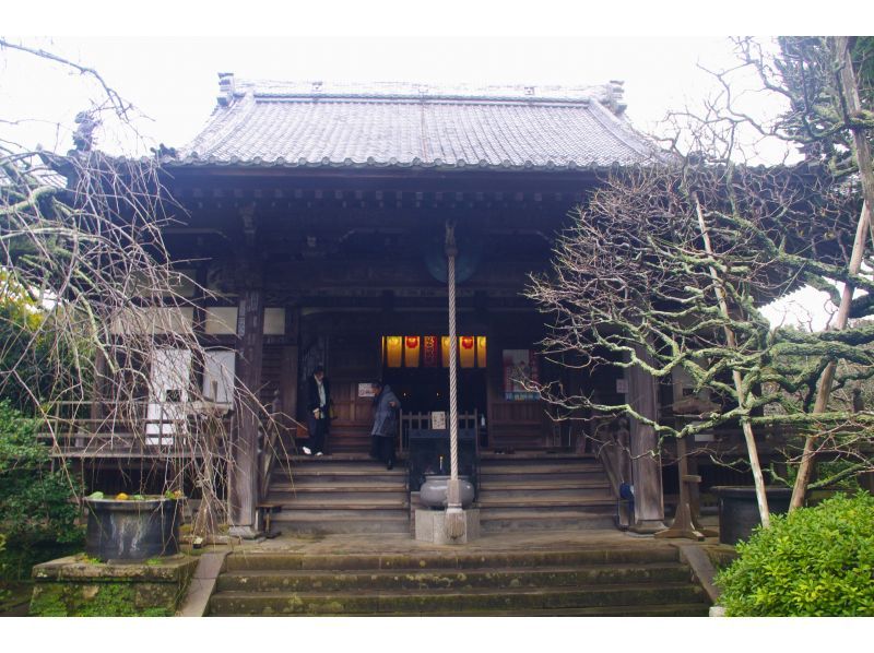 Zen Retreat in Kamakura: Zen Meditation, Bamboo Temple, and Lunchの紹介画像