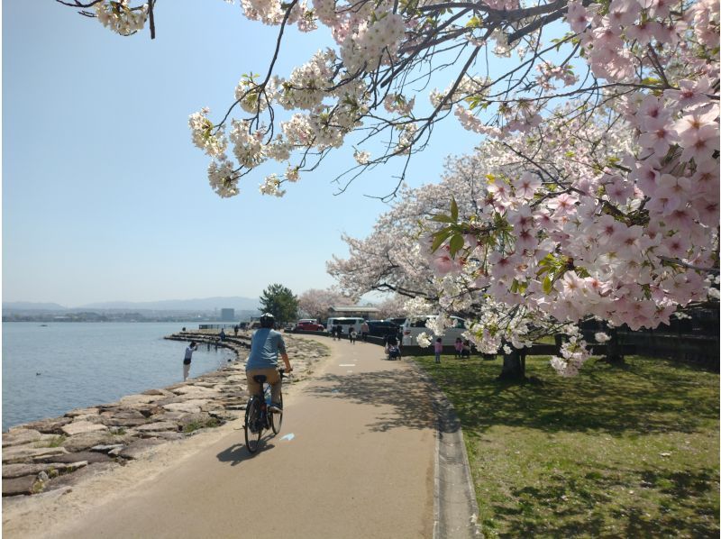 [滋賀/大津]琵琶湖/瀨田川帶導遊的自行車之旅の紹介画像