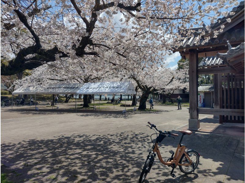 [滋賀/大津]琵琶湖/瀨田川帶導遊的自行車之旅の紹介画像