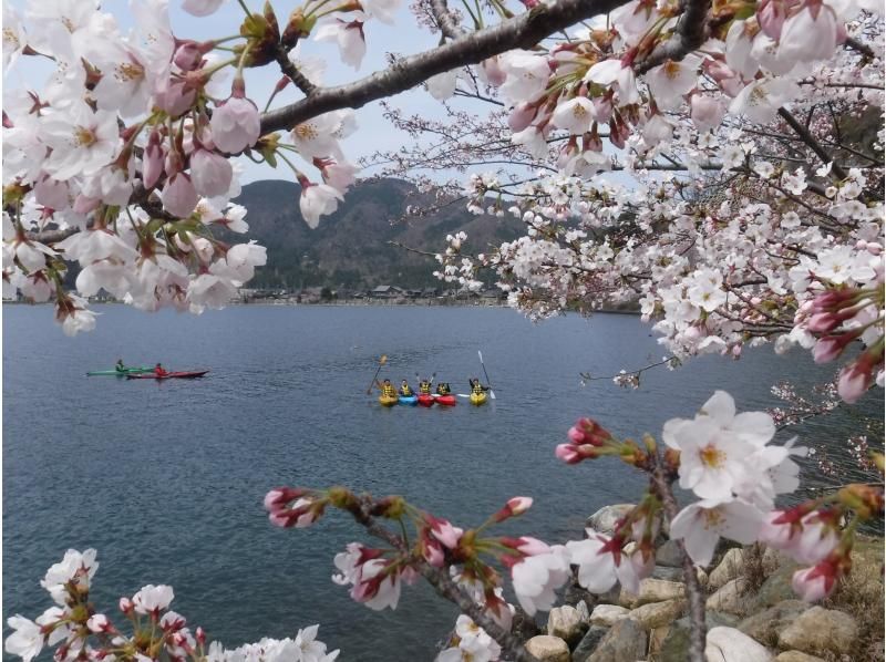 [Shiga ・ Biwako canoe] Spring cherry blossom viewing canoe tour (180 minutes) photo data present! ※ Hold for a limited time ※の紹介画像