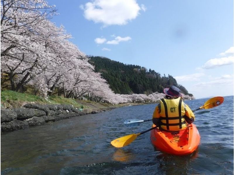 [滋贺·琵琶湖独木舟]春季樱花观赏独木舟之旅（180分钟）照片数据呈现！ ※限时※の紹介画像