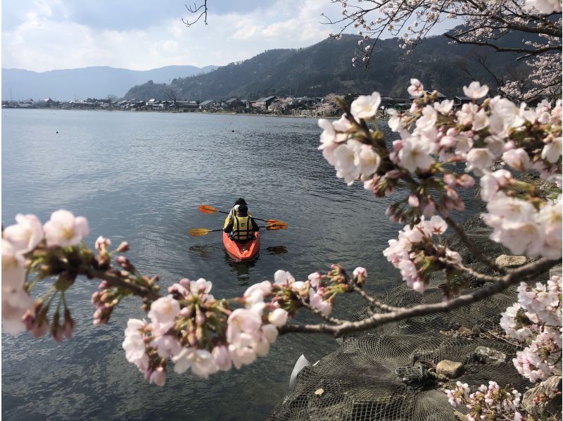 [滋賀·琵琶湖獨木舟]春季櫻花觀賞獨木舟之旅（180分鐘）照片數據呈現！ ※限時※の紹介画像