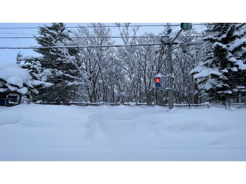 『札幌発、2日間限定！』岩見沢の「おお雪」 の中でスノーシュー体験モニターツアー』ランチと送迎付きの紹介画像