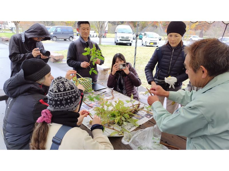 【秋田・白神山地】白神の山菜とがっこ茶っこツアー　滝/山菜採り/山菜調理体験/焚き火の紹介画像