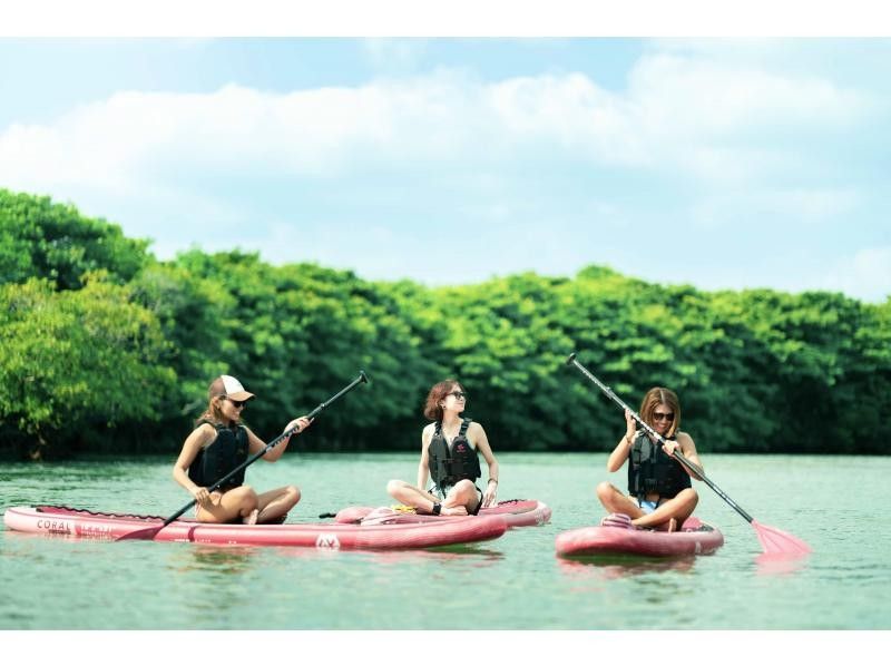 ★Student discount★【Mangrove SUP】Natural tropical rainforest SUP★Family discount★Available on the day【2 hours】【Experience the tropical rainforest of Ishigaki Island, the largest in Japan!】の紹介画像