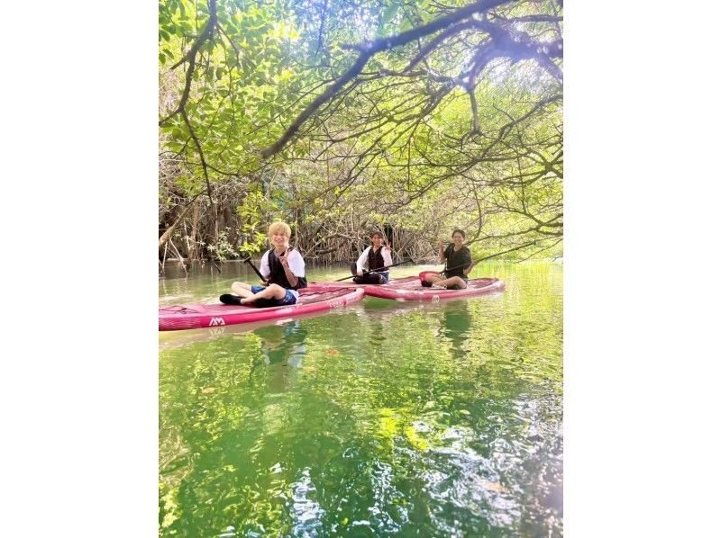 ANA誌掲載《大好評★家族割あり》マングローブSUP★日本最大の熱帯ジャングル探検！【2歳〜85歳】当日OK！送迎/写真無料★シャワー完備の紹介画像