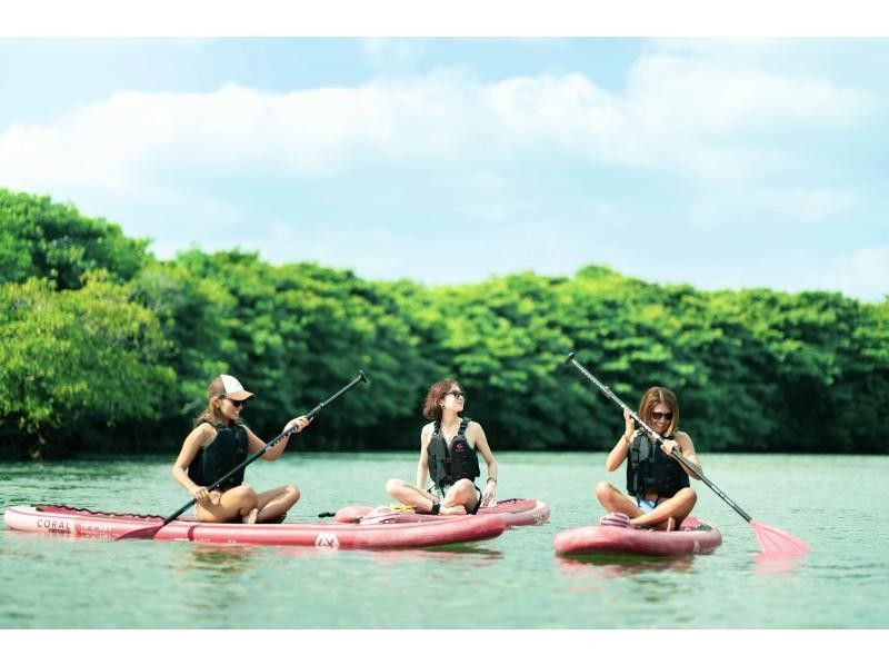 ★Student discount★ [Mangrove SUP] Natural rainforest SUP [Lowest price in the industry] Family discount★ Available on the day [2 hours] [Experience the rainforest of Ishigaki Island, the largest in Japan!]の紹介画像