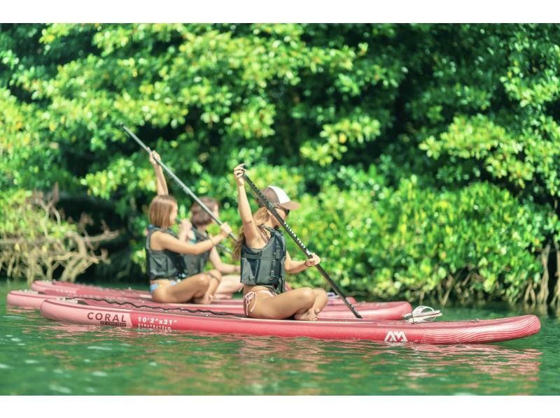 ★Student discount★【Mangrove SUP】Natural tropical rainforest SUP★Family discount★Available on the day【2 hours】【Experience the tropical rainforest of Ishigaki Island, the largest in Japan!】の紹介画像