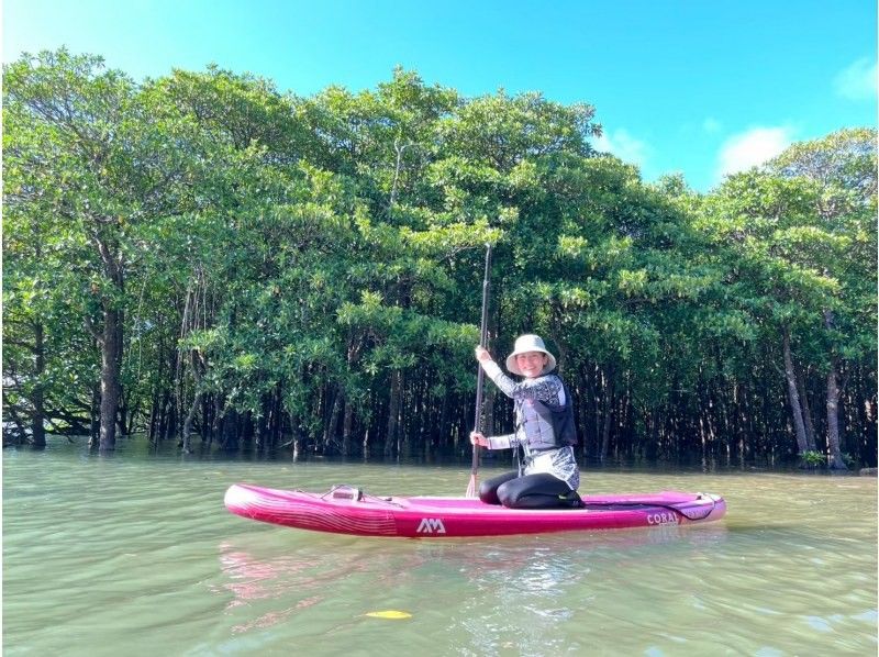 ANA誌掲載《大好評★家族割あり》マングローブSUP★日本最大の熱帯ジャングル探検！【2歳〜85歳】当日OK！送迎/写真無料★シャワー完備の紹介画像