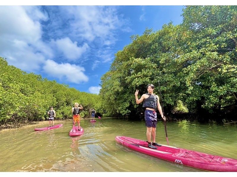 ANA誌掲載《大好評★家族割あり》マングローブSUP★日本最大の熱帯ジャングル探検！【2歳〜85歳】当日OK！送迎/写真無料★シャワー完備の紹介画像