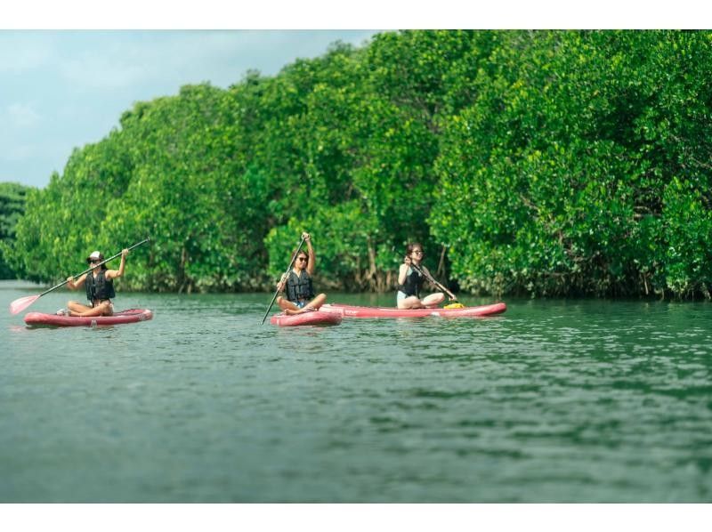 ★Student discount★ [Mangrove SUP] Natural rainforest SUP [Lowest price in the industry] Family discount★ Available on the day [2 hours] [Experience the rainforest of Ishigaki Island, the largest in Japan!]の紹介画像