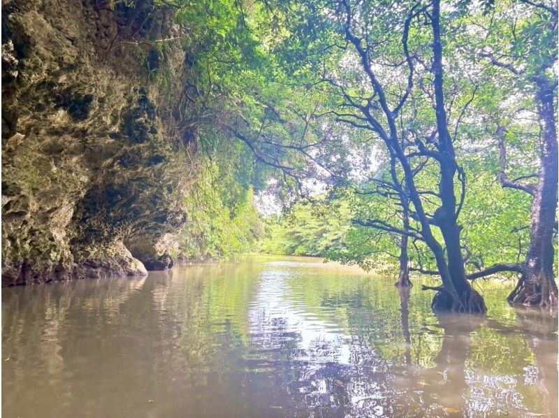 ANA誌掲載《大好評★家族割あり》マングローブSUP★日本最大の熱帯ジャングル探検！【2歳〜85歳】当日OK！送迎/写真無料★シャワー完備の紹介画像