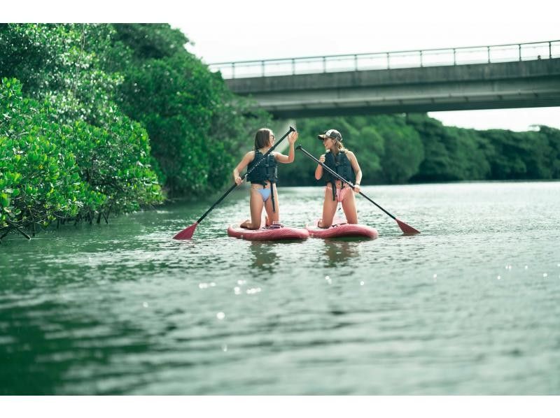 ★Student discount★ [Mangrove SUP] Natural rainforest SUP [Lowest price in the industry] Family discount★ Available on the day [2 hours] [Experience the rainforest of Ishigaki Island, the largest in Japan!]の紹介画像