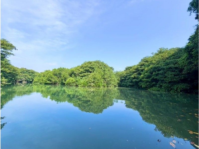 ANA誌掲載《大好評★家族割あり》マングローブSUP★日本最大の熱帯ジャングル探検！【2歳〜85歳】当日OK！送迎/写真無料★シャワー完備の紹介画像