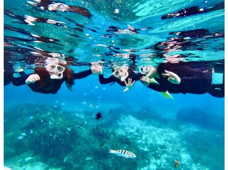 [Fully private charter plan!] Private snorkeling tour departing from Ishigaki Port, up to 6 people (GoPro photo service included)の紹介画像