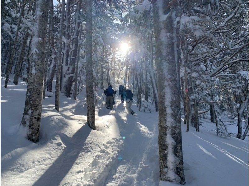 [Takamine Highlands, Nagano Prefecture] Snowshoe & snowmobile experience tour (for beginners, leisurely, includes vehicles)の紹介画像