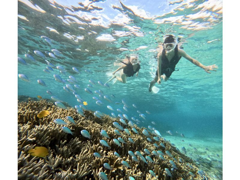 [Okinawa, Miyakojima] An impressive experience at two beaches ♪ Sea turtle, coral and fish snorkeling! A safe, secure, comfortable and luxurious plan at a store gathering place just 15 minutes walk from the city!の紹介画像