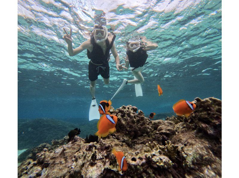 [Okinawa, Miyakojima] An impressive experience at two beaches ♪ Sea turtle, coral and fish snorkeling! A safe, secure, comfortable and luxurious plan at a store gathering place just 15 minutes walk from the city!の紹介画像