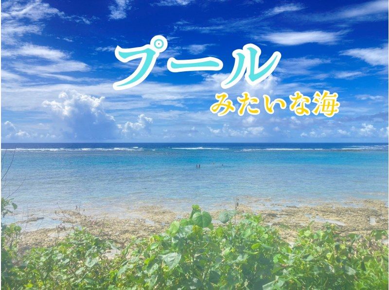 団体様貸切！糸満から約15分【送迎可・初心者向け】☆100種類以上お魚＆ウミガメのキラキラ輝く天然水族館ツアー☆ドローン無料撮影の紹介画像