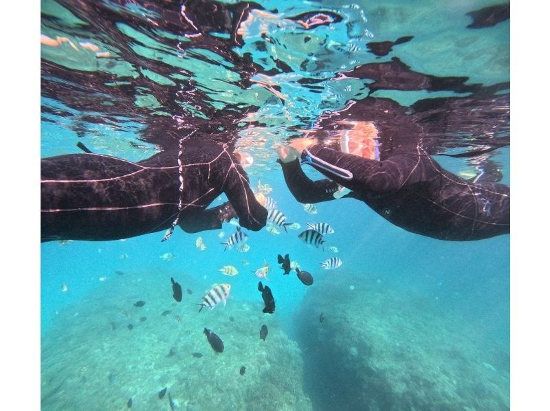 【沖縄本島・北部】1組限定貸し切りシュノーケリング〜沖縄の海を贅沢に楽しむ！（写真・動画撮影無料）の紹介画像