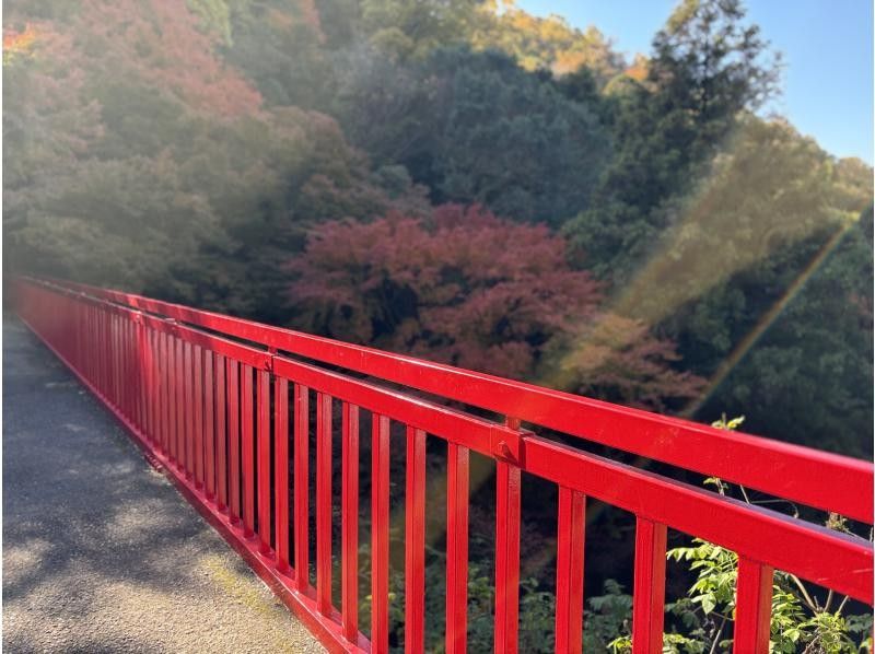 [Safe for beginners and children] Look down on the spectacular view of Osaka from the top of Mt. Ikomaの紹介画像