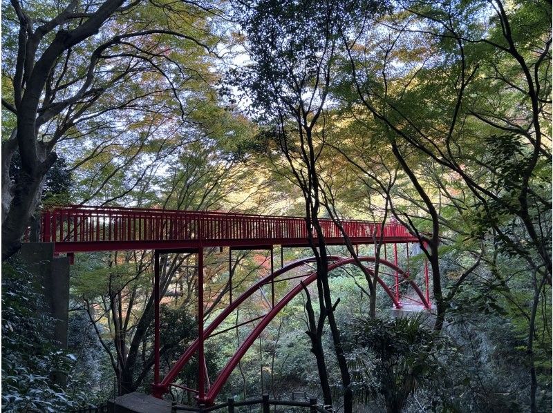 [Safe for beginners and children] Look down on the spectacular view of Osaka from the top of Mt. Ikomaの紹介画像