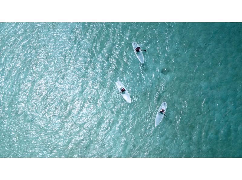 [Okinawa, Tsuken Island] Enjoy the vast ocean with Clear Sap! A relaxing plan to sail through the crystal clear water!の紹介画像