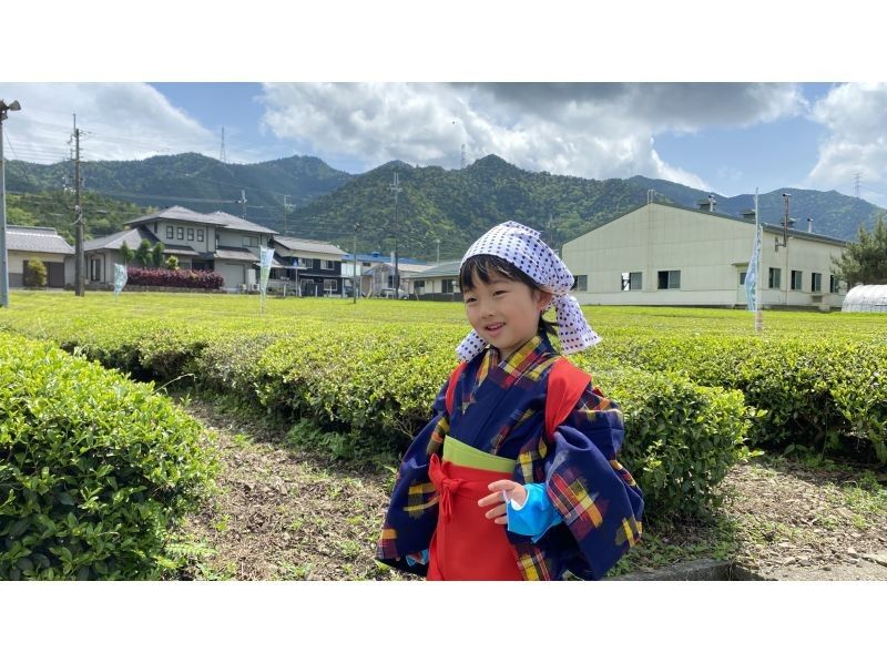 【兵庫・丹波篠山】日本最古のお茶処でお茶を楽しく学ぼう！の紹介画像