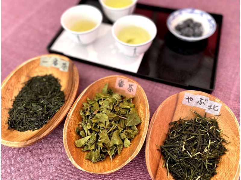 【兵庫・丹波篠山】日本最古のお茶処でお茶を楽しく学ぼう！の紹介画像