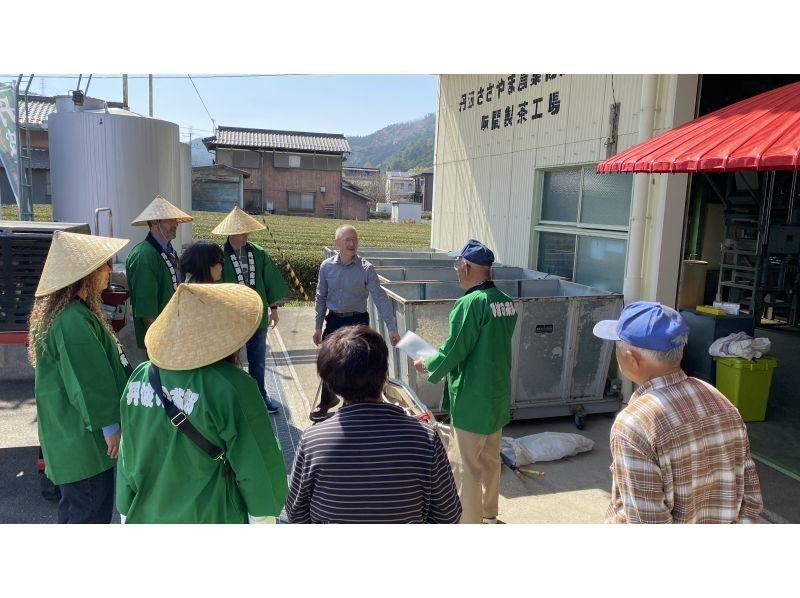 【兵庫・丹波篠山】日本最古のお茶処でお茶を楽しく学ぼう！の紹介画像