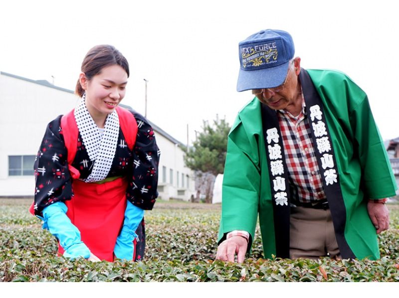 【兵庫・丹波篠山】日本最古のお茶処でお茶を楽しく学ぼう！の紹介画像