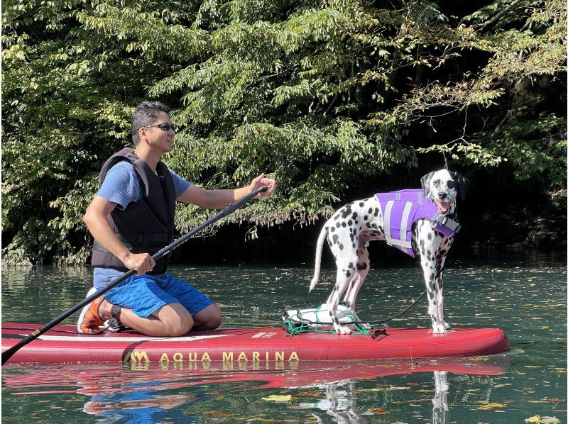 【群馬・四万温泉】人気の四万湖でサップ体験！ 2人乗りタンデムSUPボードの紹介画像