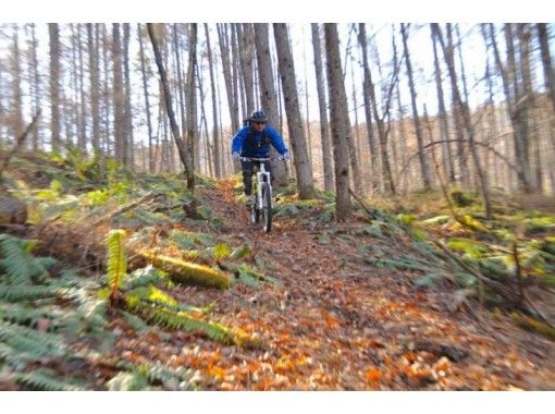 ほぼ登り無し!!【お一人様・完全貸切】初心者大歓迎! 90分プラン マウンテンバイク体験 MTBガイドツアー ほぼ登り無し!!【お一人様・完全貸切】初心者大歓迎! 90分プラン マウンテンバイク体験 MTBガイドツアー