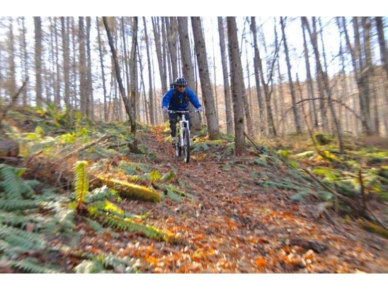 [Nagano Prefecture] (One person, fully reserved) Private, beginners welcome! 90-minute plan, mountain biking experience, leisurely mountain fun, MTB guided tourの紹介画像