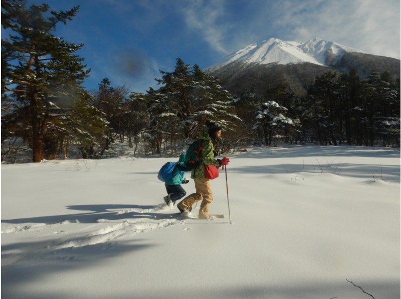 【鳥取・大山】スノーシューで雪遊び＆キッチンストーブでぐりとぐらのパンケーキ作り　寒い冬の森の中でも元気にあったかく遊ぶスノーシュープランの紹介画像