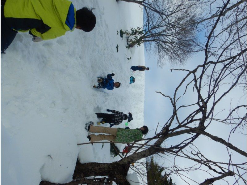 【鳥取・大山】スノーシューで雪遊び＆キッチンストーブでぐりとぐらのパンケーキ作り　寒い冬の森の中でも元気にあったかく遊ぶスノーシュープランの紹介画像