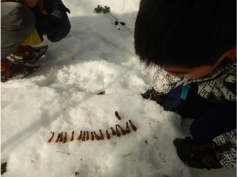 【鳥取・大山】スノーシューで雪遊び＆キッチンストーブでぐりとぐらのパンケーキ作り　寒い冬の森の中でも元気にあったかく遊ぶスノーシュープランの紹介画像