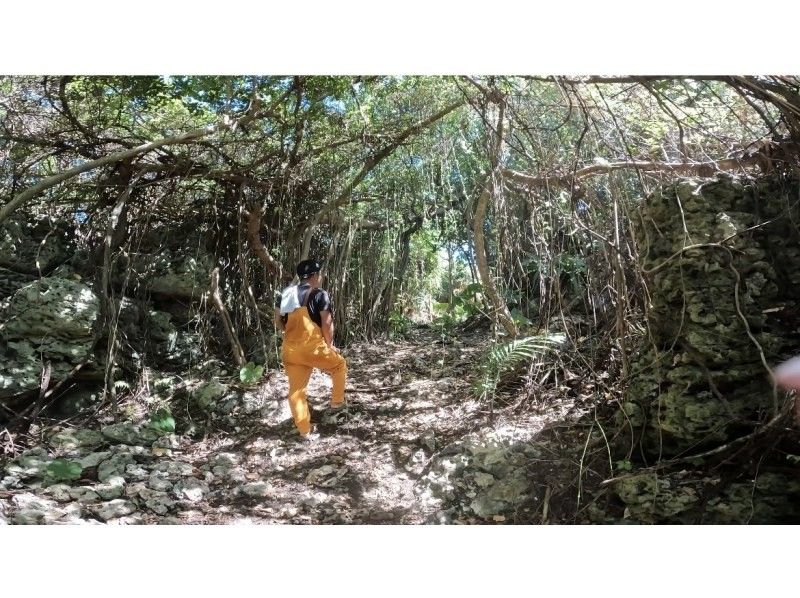 [久米岛]县内首次！乘坐大型越野车进行自然探险之旅 の紹介画像