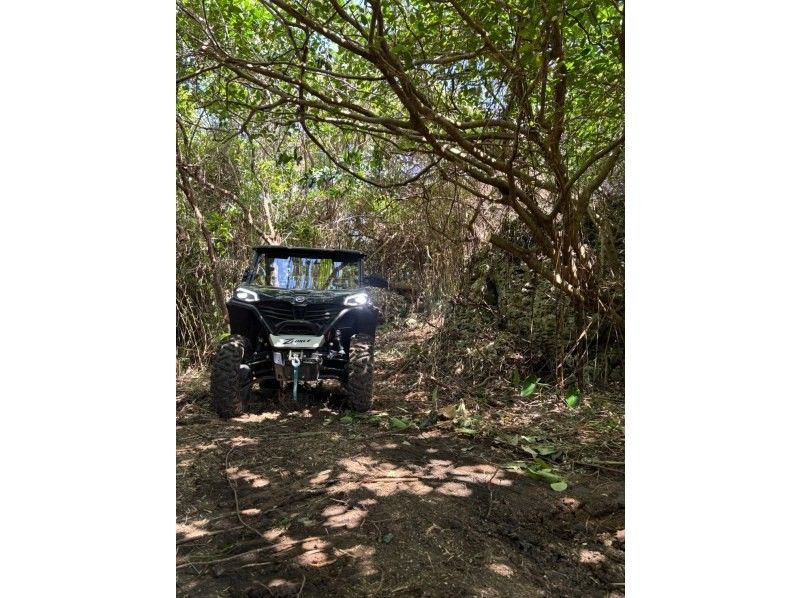 [久米岛]县内首次！乘坐大型越野车进行自然探险之旅 の紹介画像