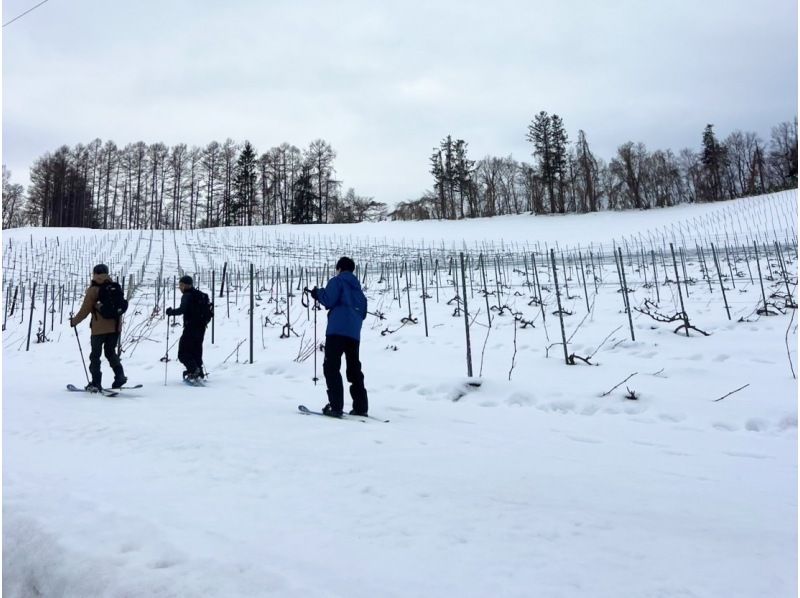 【北海道・余市】幻想的な雪景色と余市ワインを五感で堪能♪ ワイナリースノーハイク・余市産ワイン試飲&スノーウェアもレンタル無料！の紹介画像